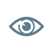 vision-icon